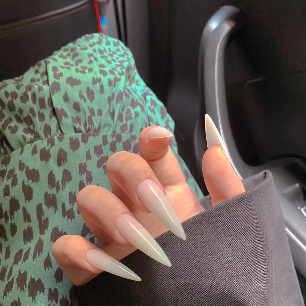 Chic Stiletto Long Natural Press-On Nails with a High-Gloss Finish