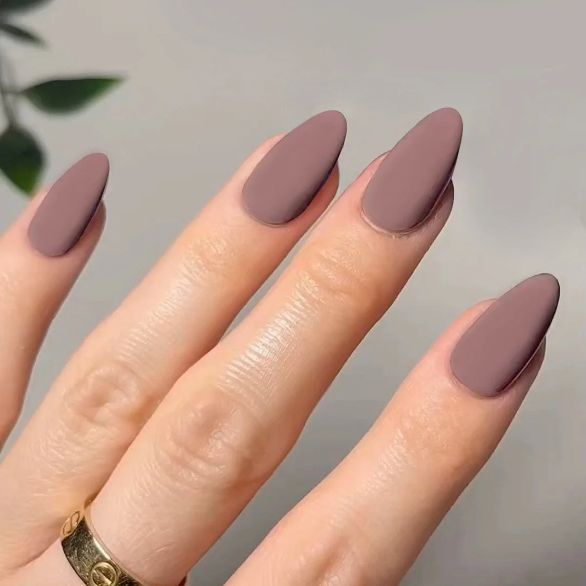 Sophisticated Almond Medium Almond Mauve Press-On Nails with Matte Finish
